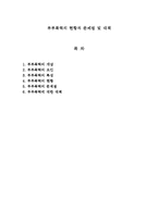 부부폭력의 현황과 문제점 및 대책-1
