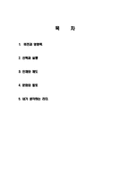 박정희 비전, 영향력, 리더쉽, 소개, 비전, 영향력, 선택, 실행, 인재, 제도, 문화, 풍토, 문화, 영향력, 현황, 나의 견해, 조사분석-2