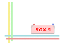 [국제경영] 모나미의 터키시장 진출 사례 연구-4