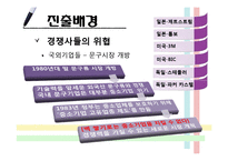 [국제경영] 모나미의 터키시장 진출 사례 연구-12