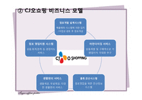 [경영학] GS 홈쇼핑과 CJ오쇼핑의 마케팅 전략 분석-17