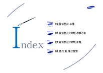 [인사관리] 삼성전자 HRM 사례분석-2