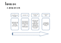 [국제재무] 위험(RISK)관리와 전략-10