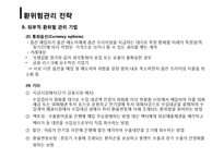 [국제재무] 위험(RISK)관리와 전략-15