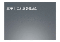 [광고론] 동물학대 인식제고를 위한 광고 전략-1