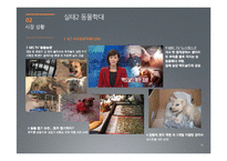 [광고론] 동물학대 인식제고를 위한 광고 전략-13