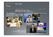 [광고론] 동물학대 인식제고를 위한 광고 전략-14