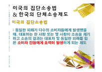 [소비자 행동론] 집단소송 및 단체소송 제도-10