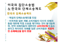 [소비자 행동론] 집단소송 및 단체소송 제도-13