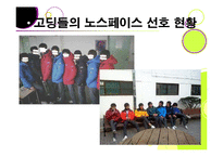 [소비자행동론] 고등학생의 노스페이스 유행화 현상 분석-5