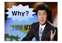 [소비자행동론] 고등학생의 노스페이스 유행화 현상 분석-9