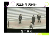 [소비자행동론] 고등학생의 노스페이스 유행화 현상 분석-11