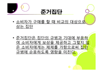 [소비자행동론] 고등학생의 노스페이스 유행화 현상 분석-13
