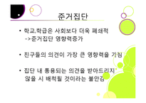 [소비자행동론] 고등학생의 노스페이스 유행화 현상 분석-14