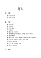 [국제경영] 쌍방울 TRY의 UAE시장 진출전략-2