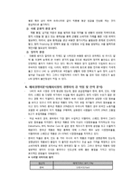 [국제경영] 쌍방울 TRY의 UAE시장 진출전략-10