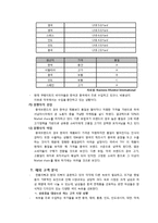 [국제경영] 쌍방울 TRY의 UAE시장 진출전략-11