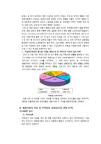 [국제경영] 쌍방울 TRY의 UAE시장 진출전략-12