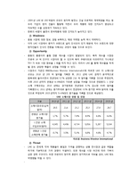 [국제경영] 쌍방울 TRY의 UAE시장 진출전략-13