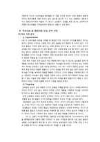 [국제경영] 쌍방울 TRY의 UAE시장 진출전략-15