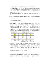 [국제경영] 쌍방울 TRY의 UAE시장 진출전략-18