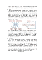 [국제경영] 쌍방울 TRY의 UAE시장 진출전략-20