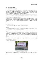 [마케팅] 홍콩의 장소(도시)마케팅 성공요인 분석-4