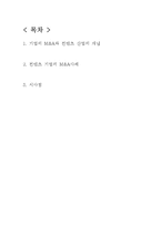 컨텐츠 산업의 M&A 사례-2