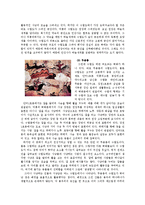 [한국사] 삼국 시대의 고분 벽화와 생활 문화 연구-9