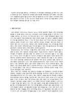 [사회학] SNS 사용이 인간관계에 미치는 영향-3