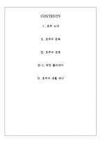 [국제문화] 호주의 문화와 관광지, 생활 매너 조사-3
