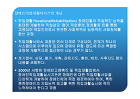 장애인 직업 재활 서비스와 조직 네트워크-2