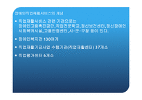 장애인 직업 재활 서비스와 조직 네트워크-3