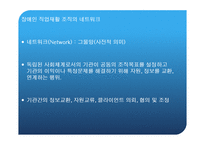 장애인 직업 재활 서비스와 조직 네트워크-4