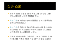 브라질 축제 `리우 카니발`의 성공요소 분석-6