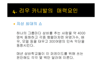 브라질 축제 `리우 카니발`의 성공요소 분석-10