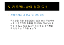 브라질 축제 `리우 카니발`의 성공요소 분석-12