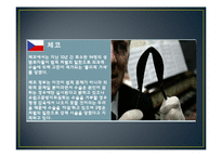 [비교행정론] 한국과 외국의 아동성범죄 비교-12