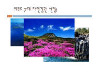 서양의 인권과 환경관-16