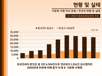 한국 다문화 가정 실태와 문제점 및 해결방안-4