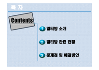 [청소년정책론] 청소년 멀티방 이용현황과 문제점 및 해결방안-2