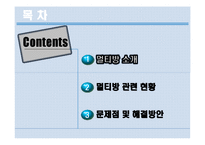 [청소년정책론] 청소년 멀티방 이용현황과 문제점 및 해결방안-3