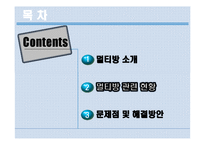 [청소년정책론] 청소년 멀티방 이용현황과 문제점 및 해결방안-12
