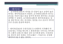일본의 성문화 연구(남색 문화를 중심으로)-13