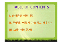 남아프리카 공화국(South Africa)의 교육과정-3