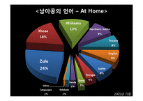 남아프리카 공화국(South Africa)의 교육과정-17