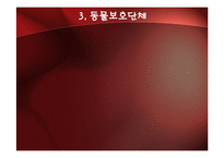 [사회학] 동물 보호 운동-10