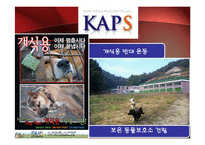 [사회학] 동물 보호 운동-13