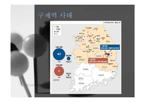 [행정책임론] 구제역 사태와 9.15 대규모 정전사태 사례 분석-6