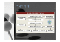 [행정책임론] 구제역 사태와 9.15 대규모 정전사태 사례 분석-10